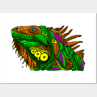 Author's Colored Green Iguana Posters and Art